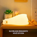 Pato Preguiçoso - Luminária Sensor ao Toque